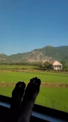 The video shows a person's bare feet silhouetted against a bright blue sky and a landscape of vibrant green rice paddies. In the background, a large, pale mountain rises, its slopes showing signs of erosion or light-colored vegetation. Power lines and poles run horizontally across the middle ground, separating the rice fields from the mountain. A building with a red roof is visible on the right side of the frame, nestled amongst the fields. The camera appears to be inside a moving vehicle, possibly a train or bus, as the perspective shifts slightly, indicating travel. The sunlight suggests it is daytime.