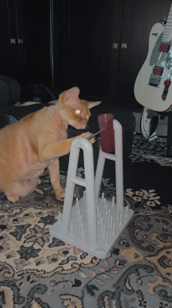 Orange cat plays with puzzle toy in Cape Coral home