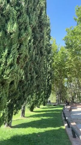 The video pans from left to right, showcasing a park-like environment transitioning into a town square with a prominent church.

Initially, the frame focuses on a tall, evergreen tree on the left, casting a shadow on a well-maintained lawn. A park bench and a trash can are visible near the evergreen. The scene then shifts to a paved area, possibly a walking path or a patio, bordered by a low fence. In the middle ground, several large trees with lush green foliage line the area, their branches creating a canopy. A lone person is seen sitting on a bench in the distance, partially obscured by trees.

As the video continues to pan right, a streetlamp with a unique design stands in the foreground of a paved square. The square is made of large, light-colored tiles with red tile accents. The trees continue to dominate the background, their vibrant green leaves contrasting with the clear blue sky.

The pan culminates by revealing a large, historic stone church. The church features two identical bell towers topped with domes, a central facade with arched windows and a large wooden door, and decorative stone detailing. A cross is visible at the peak of the central structure. The church stands at the edge of the paved square, and more trees are visible to its left and right, with a partial view of a streetlight on the far right. The lighting suggests it is a bright, sunny day.