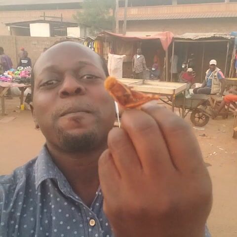 The video captures a man in a close-up, appearing to be in an outdoor market or street scene. He is of African descent, has short dark hair and a short beard, and is wearing a blue short-sleeved shirt with white polka dots. A black beaded bracelet is visible on his left wrist.

In the initial frame, he is seen holding a piece of food, possibly a grilled snack or meat, near his mouth, appearing to be in the process of eating or having just taken a bite. He then removes the food and looks directly at the camera with a neutral expression. White wired earphones are plugged into his ears.

The background is an active street environment, featuring several market stalls with metal frames and coverings. People are visible in the background, walking and standing near the stalls. One individual can be seen sitting on a scooter or tricycle in the upper left background. Various items, likely merchandise, are displayed on tables and on the ground in the background. The lighting suggests it is daytime.