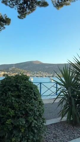 The video shows a scenic view of a bay with boats anchored in the water. The water is calm and reflects the clear blue sky. A green bush is in the foreground, obscuring some of the view. In the background, there are hills covered with vegetation and buildings. The scene appears to be from a coastal town or city. The lighting suggests it could be morning or late afternoon.