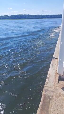 A video taken from a moving boat shows a wide expanse of blue water. The water is choppy, with small waves and white foam from the boat's wake. In the distance, a tree-lined shore is visible under a bright blue sky with a few wispy clouds. The edge of the boat, a white railing, is visible on the right side of the frame. The video appears to be taken during the daytime, with bright sunlight illuminating the scene.