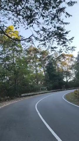 The video shows a curved asphalt road lined with trees. The sun is shining, casting shadows on the road. There are a few motorcycles visible in the distance, driving on the road. The trees appear to be deciduous, with some leaves still on the branches, suggesting it might be autumn or early winter. The road has a white line marking its center. The sky is clear and blue.