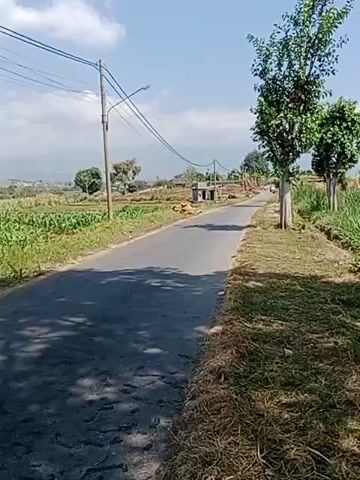 The video shows a paved road in a rural area with fields on either side. There are trees along the right side of the road, and power lines run overhead. The sky is blue with some clouds. The road appears to be in good condition, with some shadows cast on it from the trees. There is a building in the distance to the left of the road, and a few small structures to the right. No people or vehicles are visible in the immediate vicinity, though there might be something moving in the distance on the road. The overall impression is of a peaceful, sunny day in the countryside.
