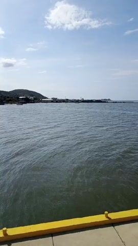 The video shows a view of a body of water from a concrete dock with a yellow safety barrier.  In the distance, there is a land mass with buildings. The sky is blue with some clouds. The water is relatively calm.  The camera appears to be handheld and slightly shaky. There are no people visible in the shot.