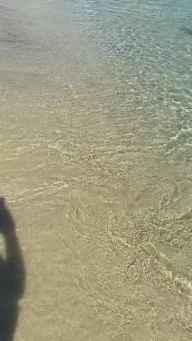 The video captures a serene beach scene with crystal-clear water gently lapping against a sandy shore. The water shimmers with sunlight, revealing the sandy bottom beneath. In the distance, a crowd of people can be seen enjoying the beach and the ocean, some wading in the water and others relaxing on the shore. A shadow of a person holding a camera is visible in the foreground, suggesting the perspective of someone filming the scene. The overall atmosphere is one of a peaceful and idyllic summer day at the beach.