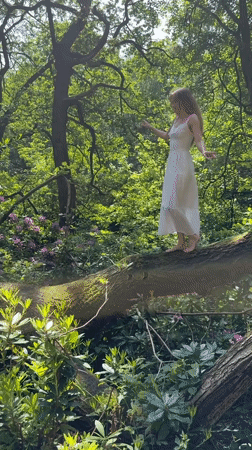 Woman explores Leeds woodland, swan family spotted nesting nearby