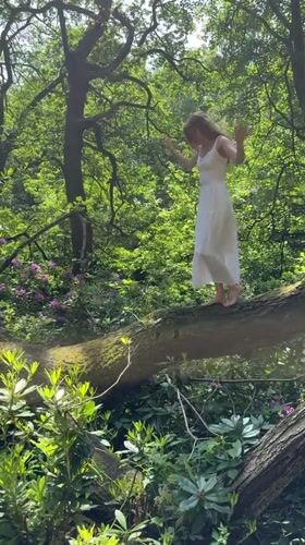 Woman explores Leeds woodland, swan family spotted nesting nearby