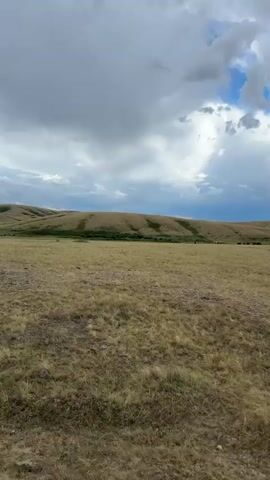 The media file shows a wide, rolling landscape with dry, golden grass in the foreground. In the mid-ground, a line of green vegetation runs along the base of rolling hills. The hills themselves are covered in a similar dry, golden grass. The sky is dramatic, with a mix of dark, heavy clouds and patches of bright blue sky, suggesting changing weather conditions. Sunlight is breaking through the clouds in some areas, casting beams onto the landscape. A few dark shapes, potentially animals like cattle or horses, are visible grazing on the hills in the distance. The overall impression is of a vast, open, and somewhat rugged natural environment under a dynamic sky. The scene evokes a sense of openness and the raw beauty of a prairie or steppe landscape. There is no visible text in the media file.