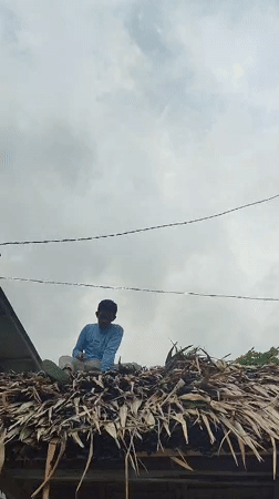 Person sits on thatched roof in Saweuk, Indonesia