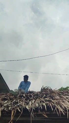 Person sits on thatched roof in Saweuk, Indonesia