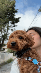 Woman walks dog, takes selfies in Sutomore Montenegro