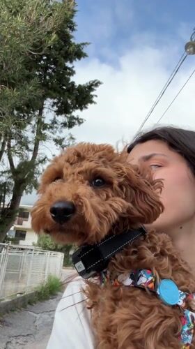 Woman walks dog, takes selfies in Sutomore Montenegro