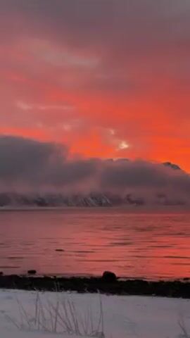 The video depicts a vibrant, red sunrise over a body of water. In the distance, a mountain range is partially obscured by a band of low-lying fog or clouds. The water reflects the intense red hues of the sky, creating a shimmering effect. The foreground shows a snowy shoreline with small rocks. Some sparse vegetation, possibly dry grass, is visible poking through the snow. The overall impression is one of a serene, yet striking, winter landscape.