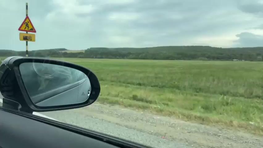 The video shows a view from inside a car as it drives along a road. The camera is focused on the car's side mirror and door panel. Outside the car, there is a green field with trees in the background and a cloudy sky. A yellow and black striped pole with a traffic sign is visible on the right side of the road. The side mirror reflects the interior of the car and a glimpse of the person or people inside. The video captures the motion of the car and the passing scenery.