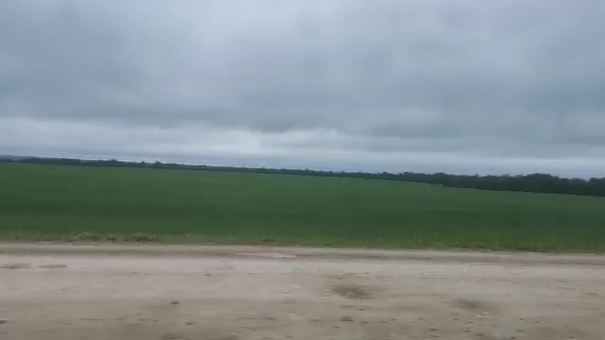 A wide shot shows a vast, green field under a cloudy sky. In the foreground, a dirt road runs horizontally across the bottom of the frame. The field stretches to the horizon, where it meets a dark line of trees. The sky is overcast with gray clouds, suggesting a gloomy day. The camera appears to be moving, indicated by the slight blur in the foreground and the changing perspective of the field. There are no people or animals visible.