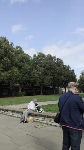 A wide shot shows a park area with a stone wall in the foreground. A woman sits on the wall with a dog by her side. A man stands in the right foreground, facing away from the camera. In the background, trees line the park, and a building is visible behind them. Several people are also walking in the background. The sky is blue with some clouds.