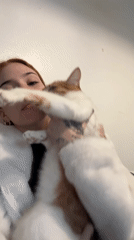 Woman shows affection to ginger cat in Buenos Aires