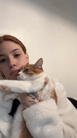 Woman shows affection to ginger cat in Buenos Aires