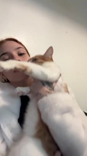 Woman shows affection to ginger cat in Buenos Aires