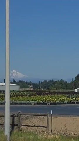 This is a short video with a clear blue sky. In the distance, a snow-capped mountain is visible. In the foreground, there are several rows of plants, possibly at a nursery or farm. Some buildings, including a large white one and a smaller red one, are situated behind the plants. There are also trees in the middle ground. The video appears to be shot from a moving vehicle, as evidenced by the slight horizontal panning.