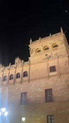 The video shows an ornate, multi-story building at night. The building is constructed of light brown stone and has many windows, arches, and decorative elements along its roofline. It appears to be illuminated by artificial light. The sky is black, suggesting a dark night. There is a lamp visible in the foreground, shining brightly. The camera moves slowly upwards, focusing on the building’s facade.