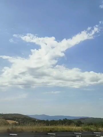The video captures a wide shot of a landscape under a bright blue sky with scattered white clouds. In the foreground, a dark railing or barrier is visible. Beyond this, a gently sloping hill covered in green vegetation and trees can be seen. Further in the distance, hazy mountains form the horizon. The sky is dominated by a prominent cloud formation that resembles a dragon or a winged creature. The overall scene suggests a calm, natural environment on a clear day.