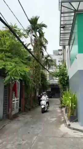 The video shows a narrow alleyway, lined with buildings and vegetation, under a cloudy sky. The alleyway is paved with concrete and is bordered by a brick wall and a white building with a teal accent. Lush green plants and trees grow along the sides, including tall palm trees and flowering vines. Power lines are visible overhead, crisscrossing the sky. Initially, a person riding a white scooter travels down the alleyway. The person is wearing protective gear. After the scooter passes, the view remains focused down the alleyway, revealing a few parked motorbikes in the distance.