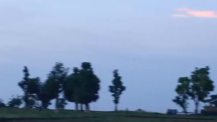 The video displays an open, slightly undulating rural landscape under an overcast, light blue-grey sky. A horizontal line of scattered trees, varying in height and foliage, runs across the midground atop a gentle, green grassy hill. Several individuals are visible walking across this hill from left to right. One person in an orange garment is seen walking towards the right side of the frame. Further to the left, another person walks with a long, pole-like object resting on their shoulder. Other figures are discernible in the distance, also moving across the landscape. The foreground shows green grass with some patches of dark, possibly tilled, earth.