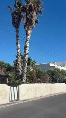 The video shows a street next to a beach. On the left side of the street, there are palm trees, a wall, and buildings. On the right side of the street, there is a beach with sand and people sunbathing, as well as the sea with boats. The sky is clear and blue. The video starts with a close-up of the palm trees and the wall, then pans to the right to reveal the beach, the sea, and the town in the distance. There are a few people walking on the sidewalk, and a few more people relaxing on the beach. There are also several boats in the water. The town in the distance is white and looks like a typical Mediterranean village. The overall impression is one of a sunny, relaxed day at the beach.