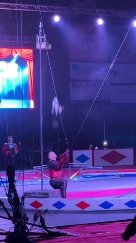 The scene shows a circus performance with a man in a red vest, seated on a platform in the center ring. He is connected to a cable lift. A smaller man in similar attire stands to his left, holding a top hat. To the man's right, a circus performer is walking two dogs on a small balance beam. The man in red stands up, holding one dog and gesturing with his open right hand towards the dogs. There are spotlights and a large screen in the background. Various signs are seen on the walls of the circus tent.