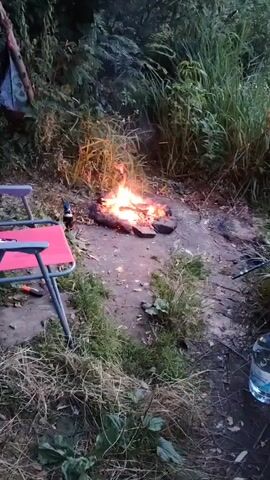 A campfire is burning in the center of the frame. To the left of the campfire, there are two red camping chairs. One chair is empty, and the other has a bottle and some other items on it. To the left of the chairs, there is a large pile of dry grass. Behind the campfire, there is a dense area of trees and foliage. To the right of the campfire, there is more dry grass and a large water bottle. In the background, a young boy wearing a black t-shirt and shorts is seen holding a stick and appearing to be interacting with the environment near the campfire. The scene appears to be outdoors, likely in a natural setting, possibly a campsite.