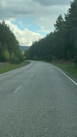 The video depicts a gray asphalt road stretching into the distance, flanked by dense green forests on either side. The road gently curves uphill, leading to a distant view of a mountain range under a cloudy sky. The sky is partially blue with patches of white clouds. The lighting is overcast, and the camera appears to be mounted inside a moving vehicle, giving a driver's perspective. White lines mark the edges of the road. There are no other vehicles or people visible.