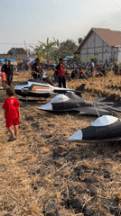Kite festival fills a harvested rice field in Gegeran, Indonesia
