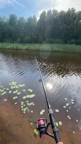 A fishing rod with a pink reel rests on a wooden surface, its line extending into a dark, calm body of water dotted with lily pads. In the background, a dense line of green trees borders the water, beneath a bright blue sky with scattered clouds. A small motorboat with at least three individuals wearing yellow vests is visible in the distance, moving across the water. The boat creates a wake as it travels.