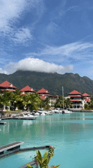 Quiet waterfront pier and docked boats in Seychelles