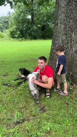 A man in a red t-shirt and shorts crouches in a grassy area, holding a gray and white puppy. A young boy in a blue shirt and khaki shorts stands to the man's right, leaning against a tree. A black dog lies on the ground to the man's left. The man is smiling and looking at the puppy, which is looking up at him. The boy is looking toward the puppy. The scene appears to be outdoors, with trees and grass in the background.