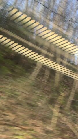 The video shows a blurry, rapidly moving scene, likely viewed from a train or other fast-moving vehicle. Through the window, a barrier or fence with horizontal slats is visible, creating a rhythmic pattern. Behind the fence, there's a mix of trees, foliage, and earth. At one point, graffiti-covered walls become visible behind the fence. The motion and blur suggest a fast-paced journey through an urban or semi-urban environment.
