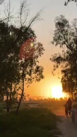 The video shows a vibrant sunset casting an orange glow over a grassy field. Silhouetted trees frame the view on either side, their branches reaching into the sky. A group of people, also silhouetted, walk along a dirt path that winds through the field. The scene evokes a peaceful and serene atmosphere.