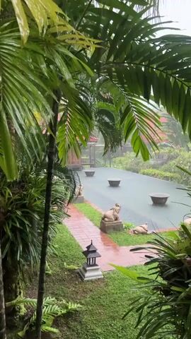 The video shows a view of a courtyard or garden area during a heavy rain shower. Lush green palm fronds frame the scene from the left and right, partially obscuring the view of what lies beyond. In the center of the frame is a rectangular, dark-colored pool or flat surface, wet from the rain, with several dark, circular objects evenly spaced across its surface. To the left of this central area, a red brick pathway leads away. Along the edge of the pathway and the central area, there are stone statues, possibly of animals or mythical creatures, positioned as decorative elements. A small, dark, tiered lantern or statue stands near the pathway. The background reveals more greenery and structures, with the rain creating a misty or hazy atmosphere. The overall impression is a tranquil, tropical garden scene being washed by a downpour.