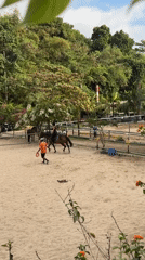 Horse riding lessons documented at Kuta Selatan equestrian facility
