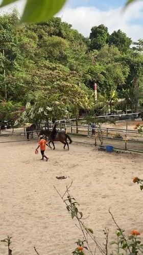 Horse riding lessons documented at Kuta Selatan equestrian facility