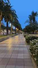 Evening basketball and palm-lined promenade in Salou
