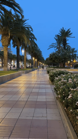 Evening basketball and palm-lined promenade in Salou