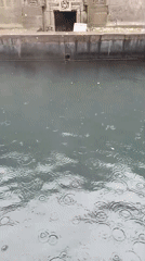 Heavy rainfall floods mountain town of Vashisht, India