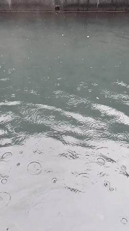 Heavy rainfall floods mountain town of Vashisht, India