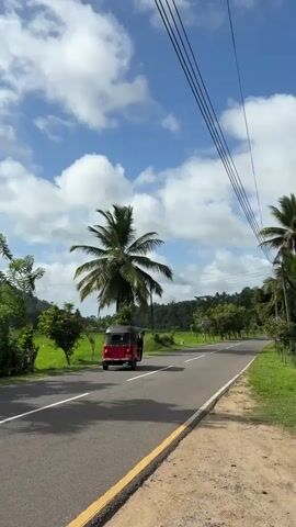 This media file captures a scenic view of a rural road in Hakmana, Sri Lanka. The primary subject is a bright red tuk-tuk, a three-wheeled auto-rickshaw common in the region, driving away from the viewer on the asphalt road. The road itself is well-maintained, with a clear white line marking the center and a yellow line along the right shoulder.

The setting is lush and tropical, with vibrant green rice paddies visible to the left of the road. Tall palm trees, characteristic of Sri Lanka's landscape, dot the scene, with one particularly prominent palm tree with its fronds spread wide in the foreground. The background features rolling green hills covered in dense foliage, suggesting a verdant and perhaps hilly terrain. Overhead, a bright blue sky is adorned with fluffy white clouds, indicating pleasant weather, likely midday or early afternoon given the strong sunlight casting shadows.

The overall mood is tranquil and evokes a sense of travel and exploration in a picturesque tropical environment. The presence of overhead power lines suggests that this is a developed rural area, not entirely remote. There is no visible text in the media file. The activity is simply the tuk-tuk in transit along the road.
