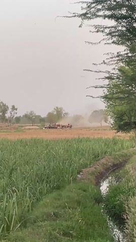 The video depicts a rural agricultural scene in Karamsar, Pakistan, under a hazy or overcast sky. In the foreground, there is a vibrant green field of tall crops, possibly sugarcane, with a narrow water channel or ditch running along its right edge. A tree with delicate, hanging foliage partially frames the upper right side of the view.

In the mid-ground, a tractor, predominantly red, is seen pulling a trailer across a drier, lighter brown field. Several people are visible around the tractor and trailer, suggesting they are engaged in farm work, possibly harvesting or transporting crops. As the tractor moves, it kicks up a significant cloud of dust, indicating the dry conditions of the field. Beyond this activity, a line of trees marks the horizon, adding to the pastoral setting. The overall atmosphere is one of agricultural productivity, with the dust cloud hinting at the dry weather conditions. No discernible text is visible.
