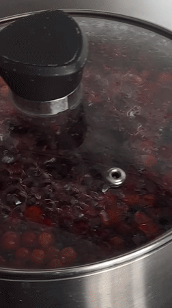 Domestic life documented in Vologda home during afternoon hours