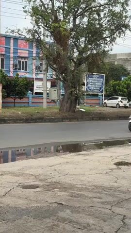 A white scooter with two occupants, one driving and one passenger, is traveling on a paved road. A large tree with a thick trunk stands prominently in the middle of the frame, its branches extending upwards and outwards. Behind the tree, a building with blue and pink stripes is visible, along with a white car parked on the side of the road. A street sign with text is also present near the tree. In the foreground, the road surface is cracked and appears wet, with reflections of the surroundings visible in puddles. The sky is overcast. A yellow truck with a white cargo box is seen driving away from the camera, further down the road.